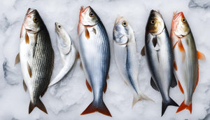 Wild Caught vs Farmed Fish Collagen: Unveiled
